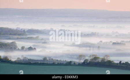 Dawn mist turbinano intorno il South Downs campagna vicino a Lewes nel Sussex orientale su una mattina di primavera Foto Stock