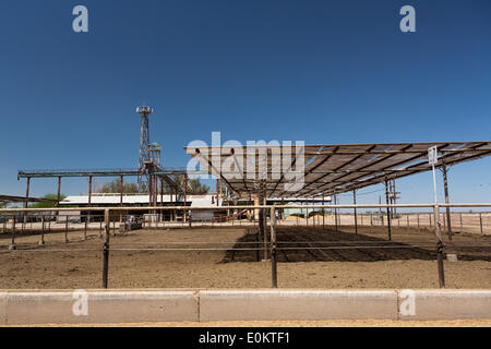 Hacienda Feedyard in Brawley in Imperial County, in aprile 2014. Vicino a Brawley è il Brawley zona sismica (BSZ) che collega il San Andreas e guasto guasto imperiale. Foto Stock