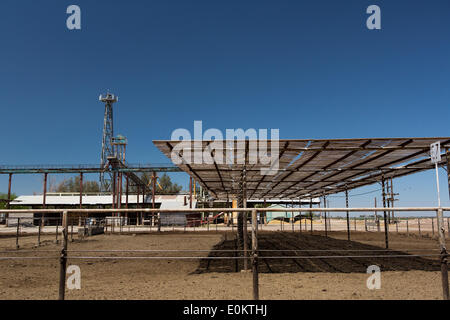 Hacienda Feedyard in Brawley in Imperial County, in aprile 2014. Vicino a Brawley è il Brawley zona sismica (BSZ) che collega il San Andreas e guasto guasto imperiale. Foto Stock