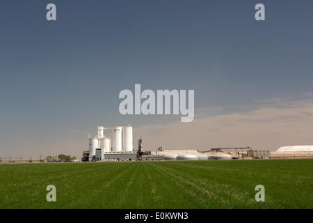 Spreckels raffineria di zucchero in Brawley in Imperial County, in aprile 2014. Vicino a Brawley è il Brawley zona sismica (BSZ) che collega il San Andreas e guasto guasto imperiale. Foto Stock