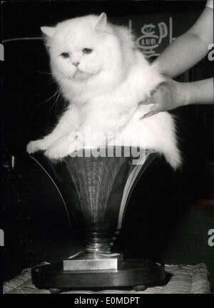 Ottobre 24, 1954 - Questo è il ''Post bel gatto nel mondo'': ''Candy De Padrica'', 1 1/2 Anno Vecchio persiano bianco è stato scelto dalla giuria del Paris Cat Club come ''il più bel gatto nel mondo'' durante l'Annuale Cat Show tenutosi presso l'Hotel Continental. Foto Stock