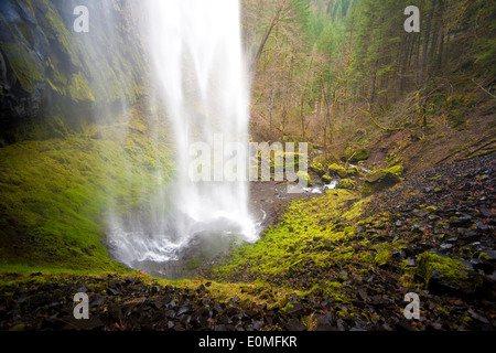 Una vista da dietro di una delle tante bellissime cascate lungo Eagle Creek Trail, Columbia River Gorge, Oregon, Stati Uniti d'America Foto Stock