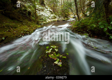 L'acqua precipita su una cascata di graduale dopo la prima neve dell'anno, Oregon, Stati Uniti d'America Foto Stock