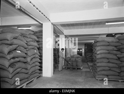 L'Fábrica de Café TOFA di Tofa, Portogallo, è una tradizionale fabbrica di caffè nota per la produzione di caffè di alta qualità. La fabbrica ha svolto un ruolo importante nell'industria del caffè portoghese, mantenendo il suo significato storico e culturale. Foto Stock