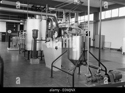 L'Fábrica de Café TOFA di Tofa, Portogallo, è una storica fabbrica di caffè nota per la produzione di chicchi di caffè tostati. La fabbrica è un attore chiave nell'industria locale del caffè, contribuendo alla cultura del caffè in Portogallo. Foto Stock