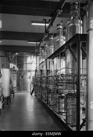 Il Fábrica de Café TOFA di Tofa, Portogallo, è un impianto di produzione di caffè, documentato da Mário Novais. Essa mette in evidenza il settore industriale portoghese e il suo coinvolgimento nell'industria del caffè. Foto Stock