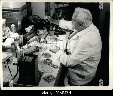 Nov. 11, 1955 - Penicillina Pioneer - Stampi - Sir Alexander Fleming ha attacco cardiaco improvviso. Sir Alexander Fleming, lo scopritore della penicillina, morì improvvisamente nella sua casa di Londra oggi da un attacco di cuore. Egli è stato 73. La sua seconda moglie, precedentemente noto come il dottor Amalia Courtsouris, di Atene, era con lui quando morì. La foto mostra: uno studio di Sir Alexander Fleming a lavorare nel suo laboratorio attaccato al St. Mary s Hospital. Foto Stock