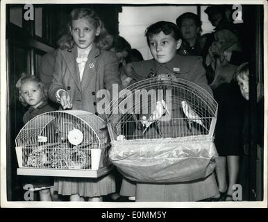 Ottobre 10, 1955 - Mondo Animale Domenica a San Michele e Tutti gli Angeli le Chiesa - Bradford. Keystone Mostra fotografica di:- i giovani che arrivano con i loro animali domestici - per il mondo animale domenica tenutosi a San Michele e Tutti gli Angeli' Chiesa - Bradford. Foto Stock