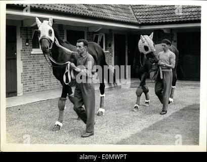 Lug. 07, 1956 - la meraviglia delle corse ippiche italiane si muove nel suo nuovo quartiere a Ascot: Ribot, la meraviglia delle corse ippiche e il suo stabile pal Magistris, spostati nella loro sede Ascot la scorsa notte completare con trainer, jockey, tre ragazzi stabile, un fabbro, due sacchetti di avena italiano - e un sacchetto di carote. L'italiano quattro-anno-vecchio è qui alla gara del re George VI, e Queen Elizabeth Stakes ad Ascot sabato. La foto mostra il Riboti, guidati da uno dei suoi ragazzi stabili Mario Marchesi (a destra), segue il suo compagno di viaggio, Magistris, che ottiene un pat da Claudio Barrozi, al loro maneggio a Ascot. Foto Stock