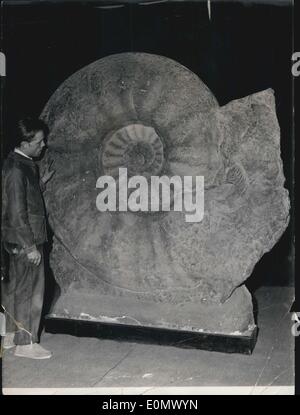 Ottobre 09, 1956 - Settimana dei musei apre al Palais de la Decouverte: ''La settimana dei musei scientifici'' aperto presso il Palais de la Decouverte, Paris To-Day. La foto mostra uno stampo di tutto il mondo più grande ammonita attualmente noti (dalla cortesia del Museo Geologico di Bochum, Germania) Foto Stock