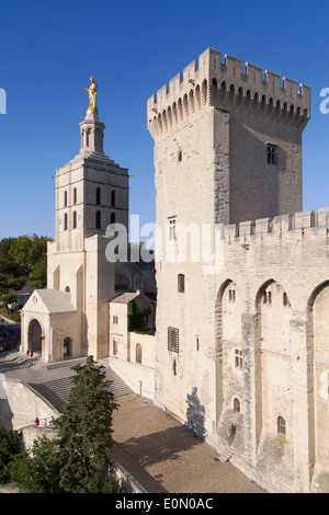 Cattedrale di Notre Dame des Domes e Tour de la Campane a Avignon, Francia. Foto Stock