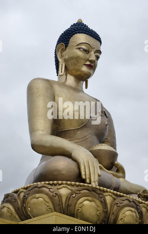 Il Buddha Dordenma statua, Thimphu Bhutan Foto Stock