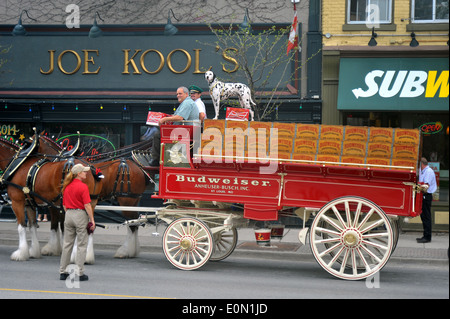 La Budweiser Clydesdales team display visto a Londra, Ontario prima dell'arrivo della Memorial Cup Trofeo di hockey. Foto Stock