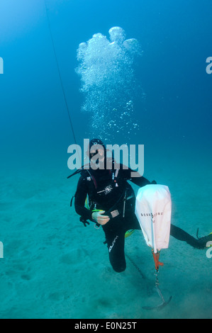 Scuba Diver sul fondale sabbioso impostazione di sacco di sollevamento per sollevare il dispositivo di ancoraggio Foto Stock