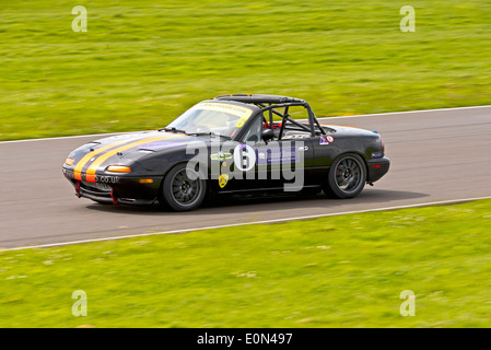 Racing a Ty Croes Anglesey North Wales UK Foto Stock