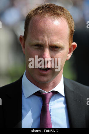 DAVID O'Meara gara allenatore di cavalli IPPODROMO DI YORK YORK INGHILTERRA 16 Maggio 2014 Foto Stock