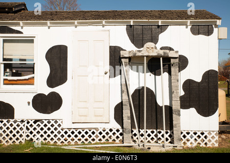 Una Nuova Inghilterra gelateria, verniciato con cow-come macchie, ha Decorazione Halloween appoggiata contro la parete posteriore. Foto Stock