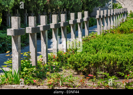 Tombe di soldati polacchi uccisi in WW2 campagna in settembre di 1939 al cimitero militare di Kock, Malopolska, Polonia Foto Stock