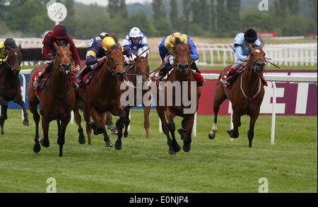 Newbury, Regno Unito. Il 17 maggio 2014. Cannock Chase sotto Ryan Moore vince il Betfred London Gold Cup durante il 2014 JLT Lockinge Stakes giorno da Newbury. Credit: Azione Plus immagini di sport/Alamy Live News Foto Stock