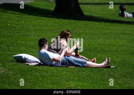 Lucertole da mare a Roundhay Park a Leeds Foto Stock