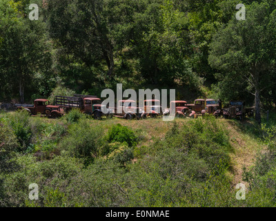 Una fila di trenta fatiscente e ruggine camion schierate in Atascadero, California su una collina circondata da alberi verdi e bu Foto Stock