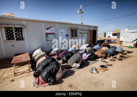 Zaatari Camp, Al Mafraq, Giordania. 31 gennaio, 2014. I rifugiati di Zaatari - Uomini pregare il venerdì a mezzogiorno la preghiera al di fuori di un affollato la moschea di fortuna. Ci sono circa 27 moschee all'interno del camp. Nel deserto giordano, 10 chilometri dalla frontiera siriana si trova un campo profughi noto come Zaatari. Essa è la casa per oltre 110.000 sfollati fuggiti dalla guerra in Siria dal luglio 2012. La maggior parte di questi rifugiati sono dalla regione meridionale di Daraa dove i combattimenti sono tra i peggiori visto in Siria guerra civile che si trascina da più di tre anni. Il Libero esercito siriano oppo Foto Stock