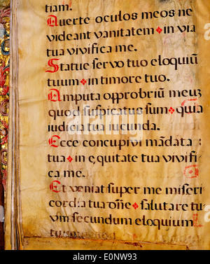 Una pagina di un manoscritto spagnolo Chant, focalizzata sulla notazione musicale e sui testi in spagnolo, raffigurante forme tradizionali di canto. Foto Stock