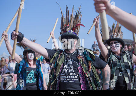 Brighton, città di Brighton & Hove, East Sussex, Regno Unito. Brighton Morris Men Day of Dance al Brighton Seafront all'esterno del Fisherman's Museum, Kings Arches, Brighton, East Sussex, Regno Unito. Questo spettacolo presenta un tema Punk al vapore con Armaleggan Border Morris davanti alla folla. 17 maggio 2014. David Smith/Alamy Live News Foto Stock