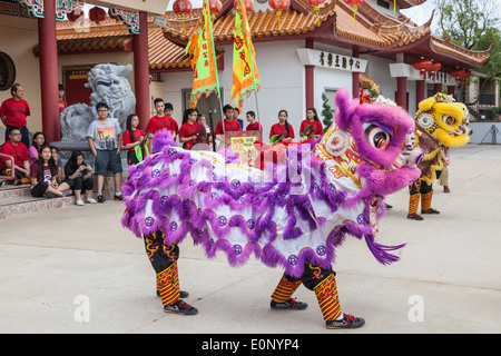 Ballo del leone al tempio Teo-Chew, tempio vietnamita e taoista nel sud-ovest di Houston, Texas. Foto Stock