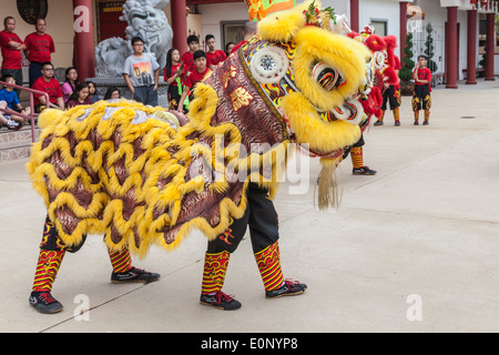 Ballo del leone al tempio Teo-Chew, tempio vietnamita e taoista nel sud-ovest di Houston, Texas. Foto Stock