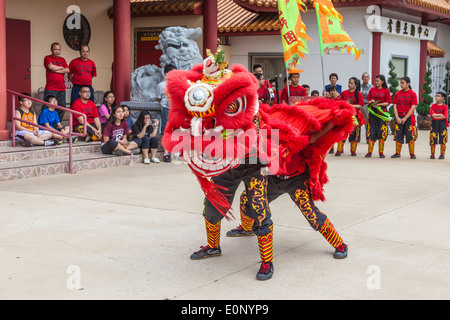 Ballo del leone al tempio Teo-Chew, tempio vietnamita e taoista nel sud-ovest di Houston, Texas. Foto Stock