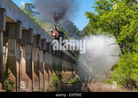 Treno fotografico della ferrovia statale del Texas sul ponte sul fiume Neches nel Texas orientale. Foto Stock