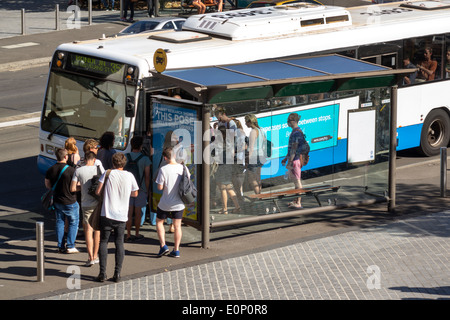 Sydney Australia,Università di Sydney,istruzione,studenti a bordo,autobus pubblico,pullman,City Road,AU140310160 Foto Stock