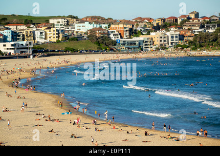 Sydney Australia, Bondi Beach, Oceano Pacifico, surf, onde, sabbia, pubblico, Bondi Nord, surfisti, AU140310197 Foto Stock