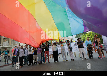 Caracas, Venezuela. Il 17 maggio 2014. Le persone in possesso di un flag durante un rally segna la Giornata Internazionale contro l'omofobia e Transphobia, a Caracas, Venezuela, il 17 maggio 2014. © Carlos Becerra/Xinhua/Alamy Live News Foto Stock