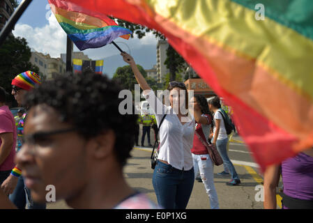 Caracas, Venezuela. Il 17 maggio 2014. Una donna può contenere un flag durante un rally segna la Giornata Internazionale contro l'omofobia e Transphobia, a Caracas, Venezuela, il 17 maggio 2014. © Carlos Becerra/Xinhua/Alamy Live News Foto Stock