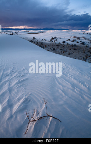 Un solitario stick siede su eroso (gesso) dune di sabbia bianca al tramonto. White Sands National Monument. Nuovo Messico, Stati Uniti d'America. Foto Stock