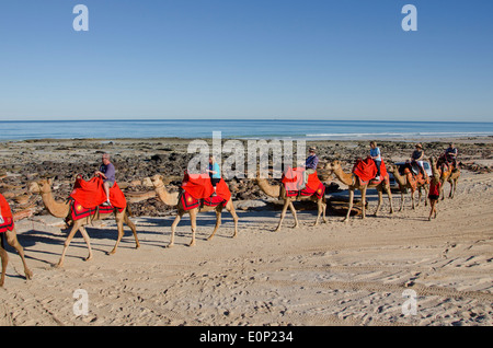 Australia, Australia occidentale, Broome Cable Beach. Escursioni turistiche in giro in cammello lungo la spiaggia di Cable Beach e l'Oceano Indiano. Foto Stock