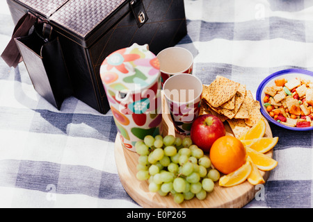 Impostazione picnic con cibo fresco all'aperto