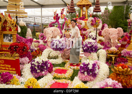 Londra REGNO UNITO. Il 18 maggio 2014. Il padiglione Thailandese al 101st Chelsea Flower Show. La prestigiosa mostra di giardinaggio offre centinaia di stand espositivi e giardini e si apre al pubblico il 20 MAGGIO CREDITO: amer ghazzal/Alamy Live News Foto Stock