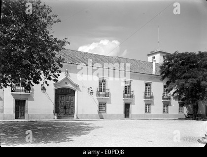 Companhia das Lezírias è un'azienda agricola con sede a Ribatejo, Portogallo. È noto per il suo ruolo significativo nell'agricoltura e nella produzione di bestiame nella regione. Foto Stock