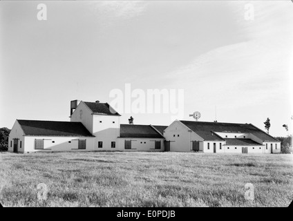 Companhia das Lezírias, situata a Ribatejo, Portogallo, è una storica azienda agricola e zootecnica. Svolge un ruolo significativo nell'economia rurale e nel patrimonio agricolo del Portogallo. Foto Stock