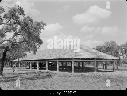 Companhia das Lezírias è una grande azienda agricola e forestale con sede a Ribatejo, Portogallo. È nota per la sua gestione del territorio, la coltivazione e la conservazione ambientale. Foto Stock