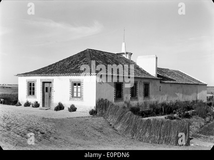 Companhia das Lezírias, situata a Ribatejo, Portogallo, è una storica azienda agricola. Da secoli si occupa di agricoltura e allevamento, contribuendo all'industria agricola portoghese. Foto Stock