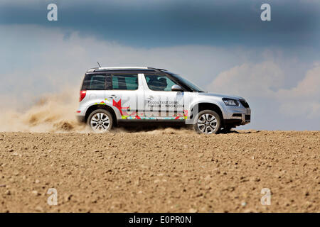 Un SUV con i giornalisti scorre attraverso un campo per visualizzare una gigantesca statua di bielorusso simbolo nazionale, il Bisonte Europeo, su una autostrada che conduce a Minsk, Bielorussia, Sabato, Maggio 10th, 2014. Le autostrade in Bielorussia non conformi con West norme europee. Western Foto Stock