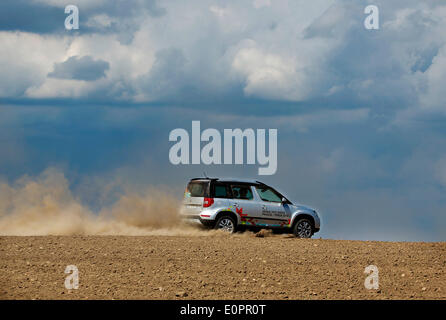 Un SUV con i giornalisti scorre attraverso un campo per visualizzare una gigantesca statua di bielorusso simbolo nazionale, il Bisonte Europeo, su una autostrada che conduce a Minsk, Bielorussia, Sabato, Maggio 10th, 2014. Le autostrade in Bielorussia non conformi con West norme europee. Western Foto Stock
