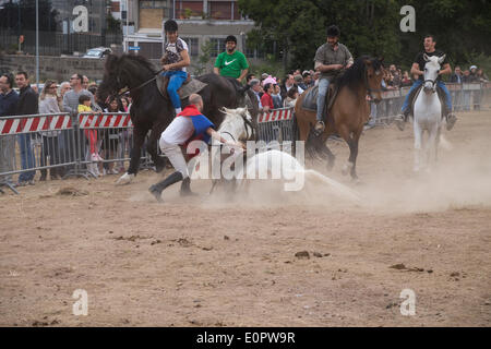 Roma, Italia. Il 18 maggio 2014. sul piano del Palio di Siena nei sobborghi: Palio di sant'Atanasio Credito: Francesco Gustincich/Alamy Live News Foto Stock