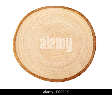 Sezione di tronco di albero che mostra gli anelli di crescita su sfondo bianco Foto Stock