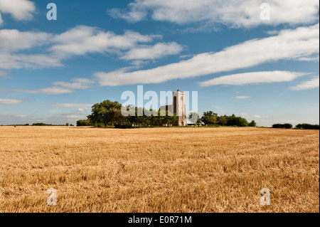 Woodwalton, Cambridgeshire, Regno Unito. Sant'Andrea Chiesa, una ridondante 14c edificio curato dagli amici di Friendless chiese Foto Stock