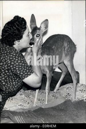 Agosto 08, 1959 - Il cane ha trovato una casa: Qualche tempo fa un agricoltore di Gizay, asmall villaggio della Francia centrale, fu risvegliato dall'abbaiare dei suoi cani nel vicino da boschi. Quando è andato ci ha trovato un cane ferito. Gli animali è stato prelevato per l'agricoltore e la casa e allattò dall'agricoltore e la moglie. Ora il cane è diventato parte della famiglia e un grande pet di tutti gli abitanti del villaggio. La foto mostra il cane essendo cajoled dall'agricoltore e la moglie. Foto Stock